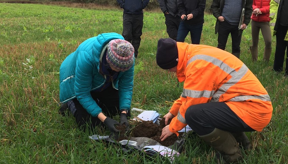 Two people investigating a soil pit dug in a field 